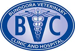 Bundoors Vets